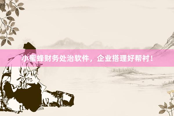 小蜜蜂财务处治软件，企业搭理好帮衬！